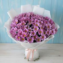 Букет цветов из:  Хризантемы #REPLACE_PRED# Курильске