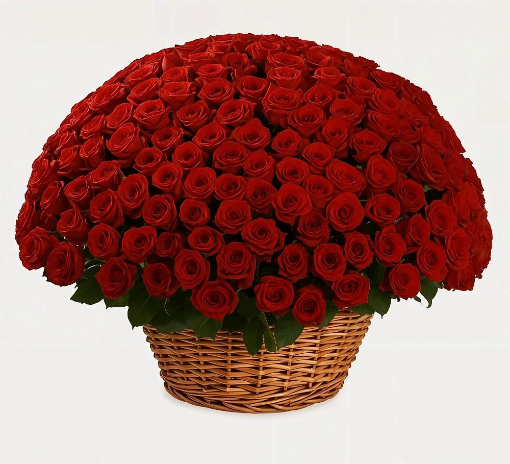 Премиум букет из: Розы в Курильске