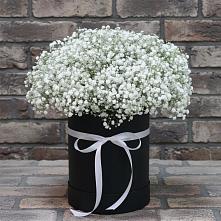 Цветочная композиция из Гипсофила в шляпной коробке #REPLACE_PRED# Курильске